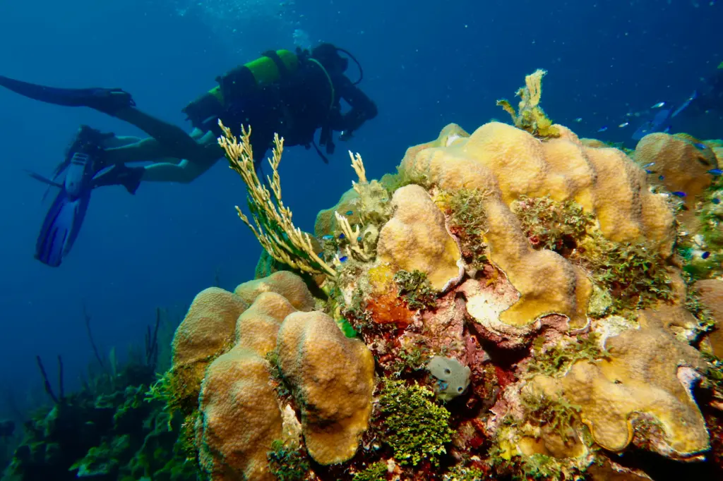 beginners divers training during discover scuba in Varadero