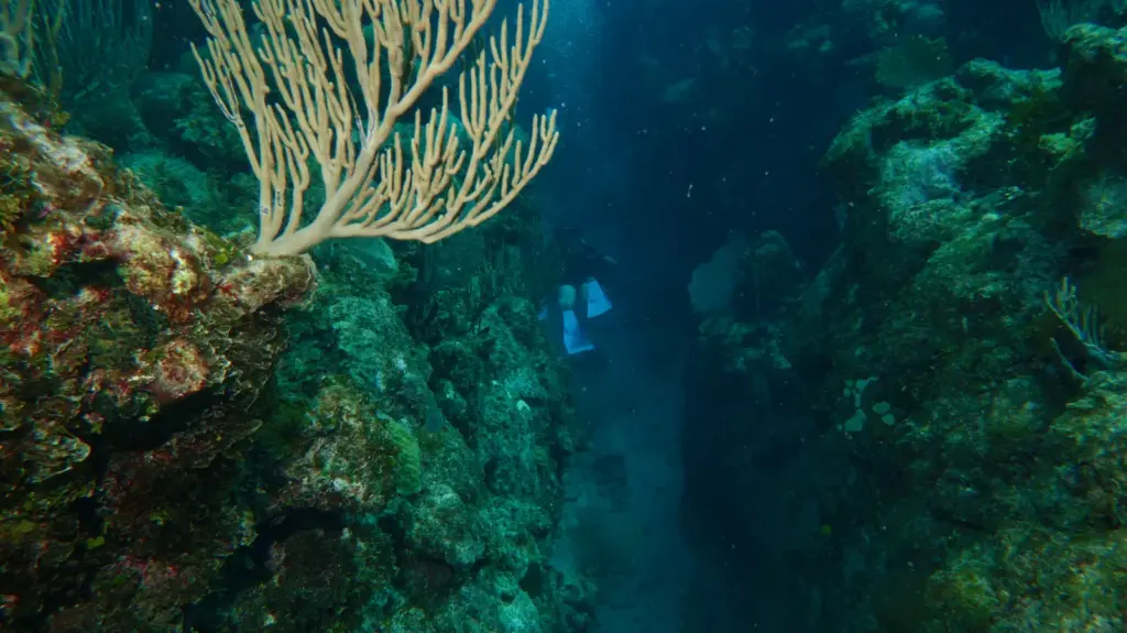 Coral heads and channels at Bacunayagua Reef near Varadero, Cuba