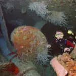 Sletreal Wreck in Varadero Cuba