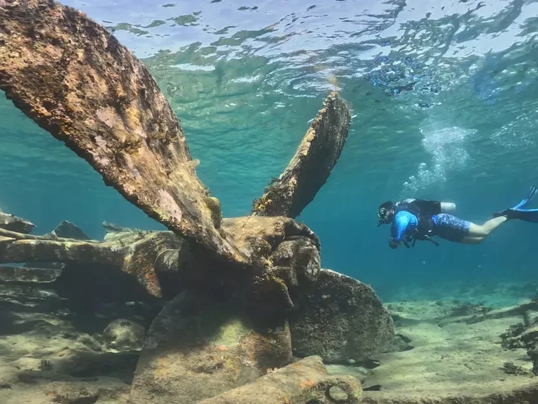 Divers exploring the Damuji Shipwreck