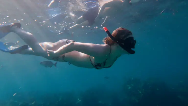 snorkeler-bay-of-pigs-coral-fish-18