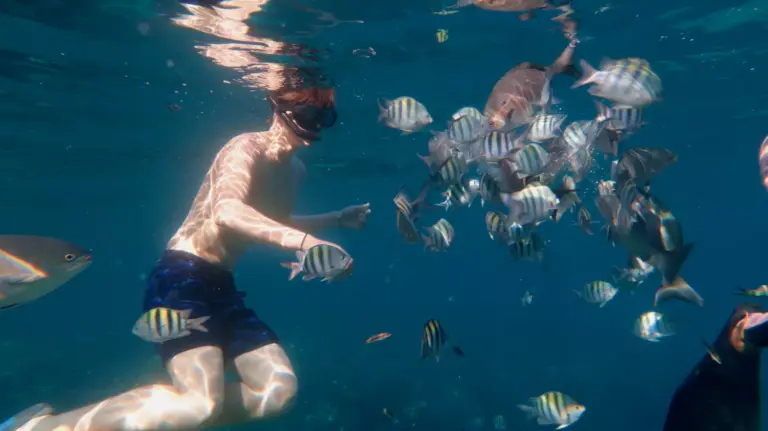 snorkeler-playa-coral-cuba-reef-fish-04
