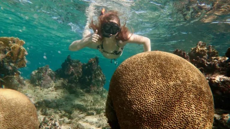 snorkeler-underwater-varadero-coral-reef-61
