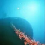 Shipwreck Sletreal bow view from the bottom surf and sun light background