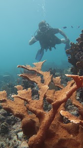 Scuba Vida Varadero place picture