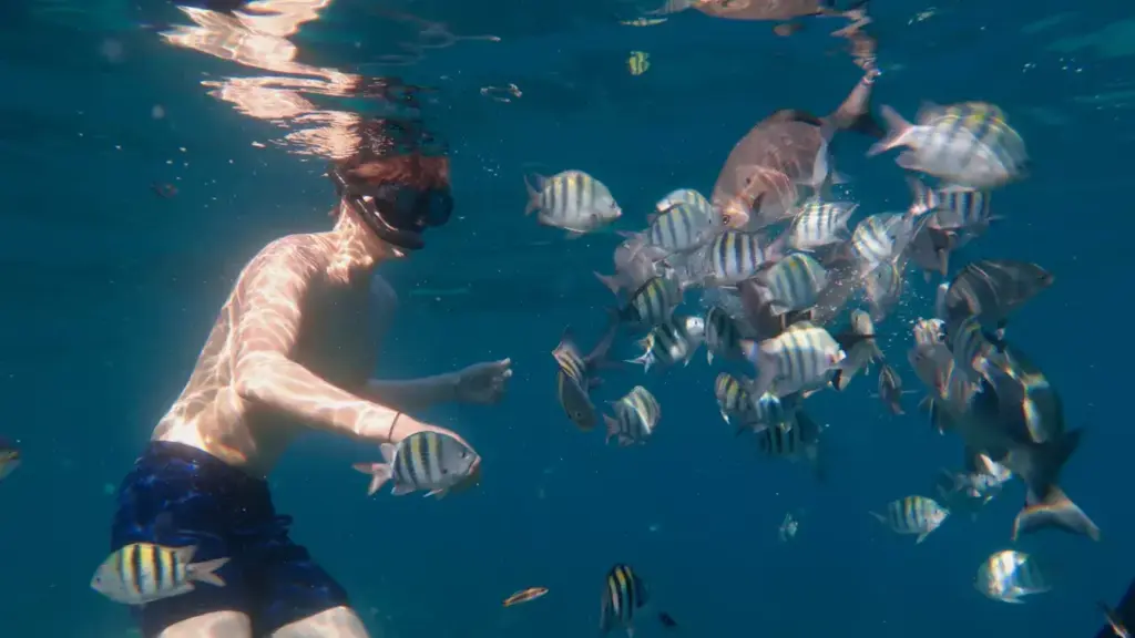 Snorkeling over the coral reef at Playa Coral Cuba