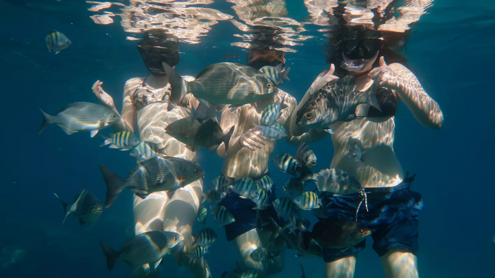 Snorkelling in Varadero Cuba with three snorkelers surrounded by tropical fish in clear warm water