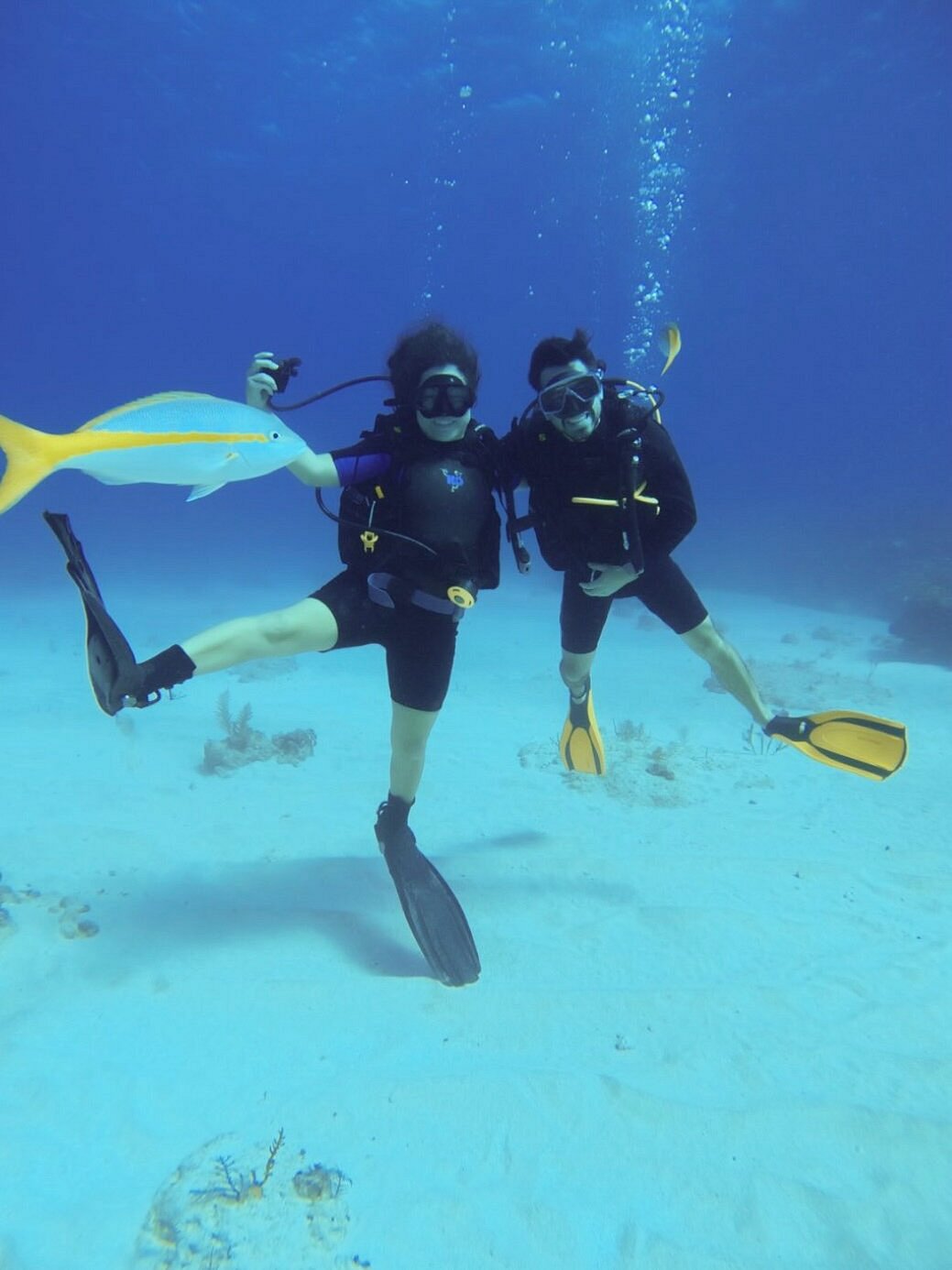 Divers swimming together during an Open Water training dive