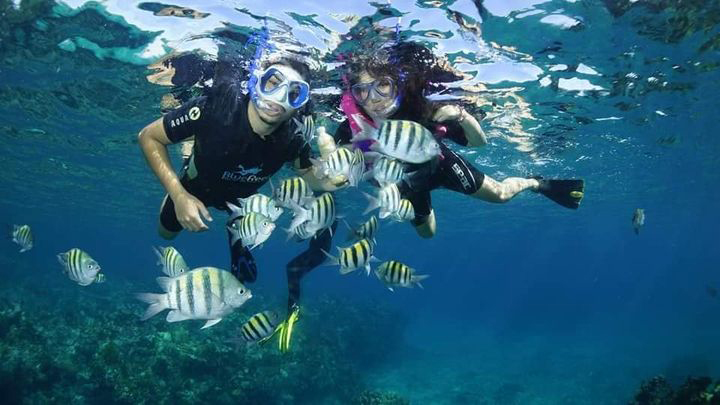 Family and friends enjoying scuba diving and snorkeling together in Varadero Cuba