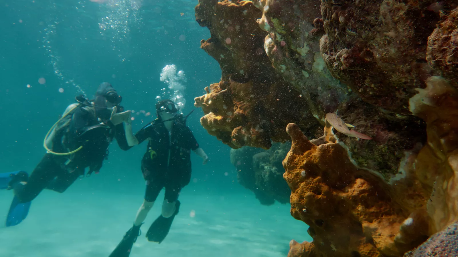 Beginner diver exploring a coral reef in Varadero, cuba