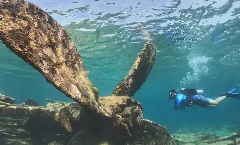 Diver exploring the Damuji Wreck one of the dive sites near Varadero