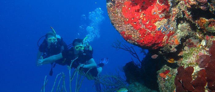 Deep scuba diving training course in Bay of Pigs